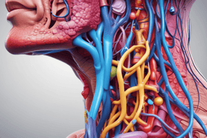 Larynx Cartilages and Respiratory System Components Quiz