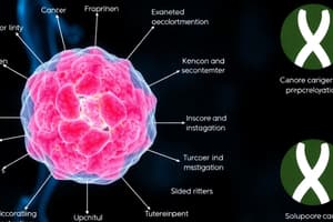 Cancer and Tumors Quiz