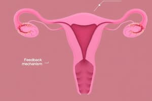 Cycle Ovarien et Ovulation