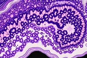 Histología, Embriología y Morfogénesis