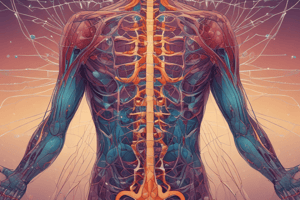 Pain and Nervous System: Anatomy and Physiology