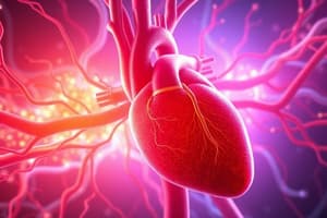 Cardiovascular System Overview