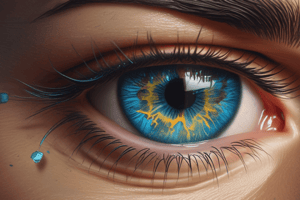 Understanding Detectors and Human Eyes