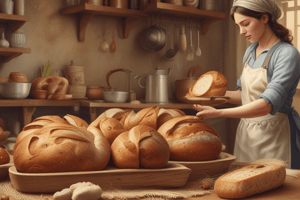 Pâte Fermentée in Bread Making