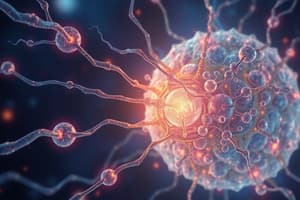 Sensory Receptors: Transduction and Sensation