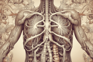 Pulmonary System Function