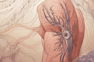 Biology Chapter 5: Integumentary System