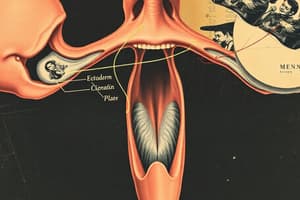 ￼ Embryology; face & palate