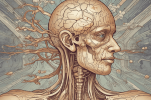 Hypothalamus-Pituitary Axis Quiz