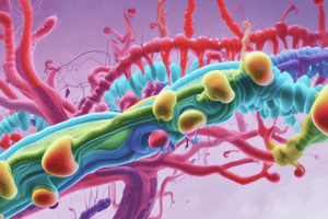 Gene Regulation and Lac Operon Quiz