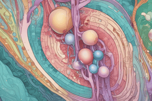 Renal Function and Urine Analysis