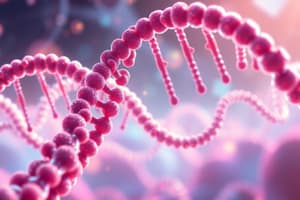 RNA Replication Overview and Comparison