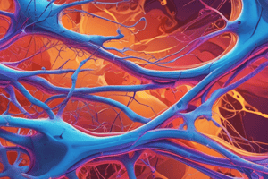 Interstitial Fluid Volume and Neurons Resting Membrane Potential Quiz