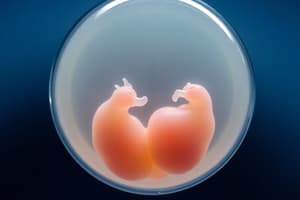 Early Embryology Stages and Yolk Types