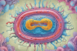 Cell Structure: Prokaryotes