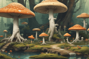 The Incredible Power of Fungi