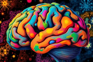 Diencephalon Functions and Structures