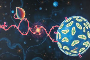 Cellular Respiration Overview and Pathways