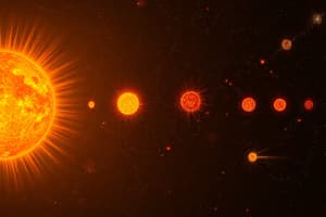 Solar Cycle and Sunspots Quiz