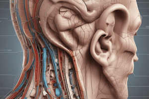 Lecture 10:Anatomy and Functions of the Ear