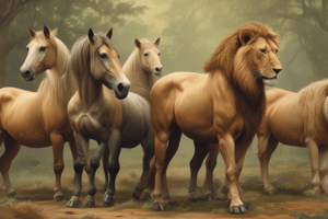 Life Cycle of Horses and Lions