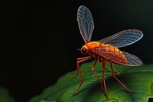 Malaria and Plasmodium Overview