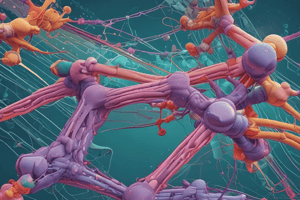 Protein Folding and Chaperones