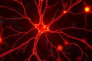 Neuroscience Quiz: Nerve Signals