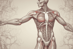 Circulatory System: Heart and Blood Vessels