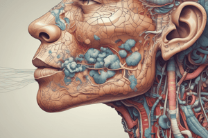 Respiratory System Anatomy Quiz