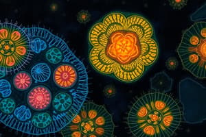 Prokaryotic vs. Eukaryotic Cells