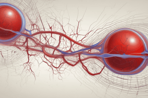 Albumin Functions and Significance