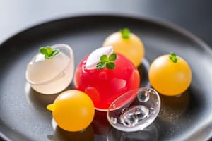 Molecular Gastronomy Introduction