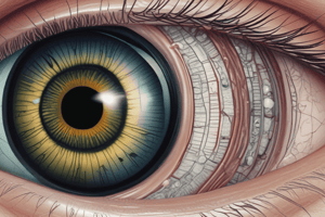 Cornea Anatomy and Clinical Management