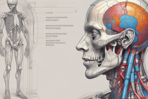 Anatomy and Physiology Terms