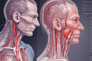 Understanding Sinus Bradycardia