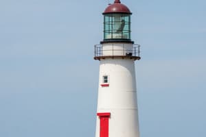 The Lighthouse in Economics