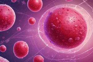 Hypersegmentation of Neutrophils