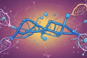 Nucleic Acids and RNA Transcription