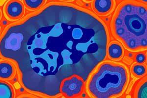 Epithelial Tissue Overview