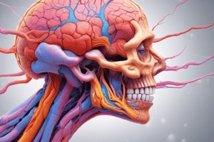 Hypothalamic-Pituitary Axis