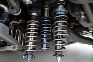 Shock Struts in Vehicle Suspension Systems