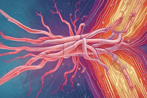 Guía IDSA para la Infección por Clostridioides difficile (CDI) Capítulo 1