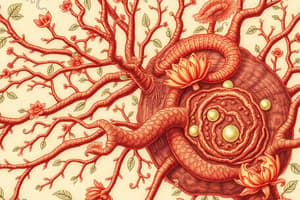 Neuronal Lipid Metabolism Overview