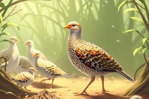 Quail Farming Transition: Nek Nek Egg Trading