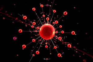 Rutherford Scattering Experiment Quiz