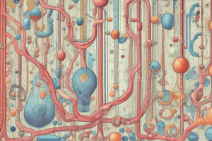 Glycolysis Overview