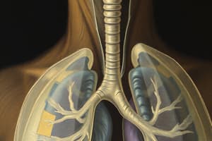 Respiratory Volumes Quiz