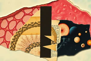 Epithelial Membranes Quiz