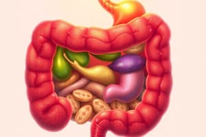 Digestive System Functions and Structure